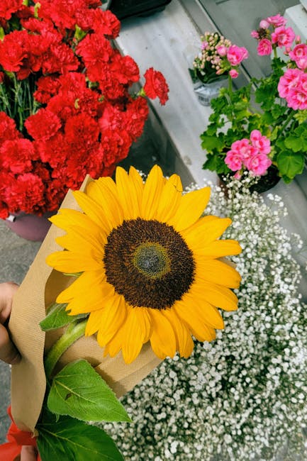 A vibrant arrangement featuring a large, bright yellow sunflower with a dark brown center held in a person's hand. In the background, there are clusters of red carnations in a pink pot, delicate white