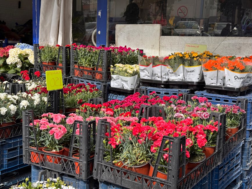 Image of an outdoor flower market displaying various potted flowers arranged in black plastic crates. The flowers include vibrant pink, red, white, orange, and yellow blooms, such as carnations and ch
